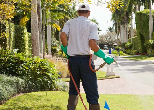About Narrows VA Pest Control